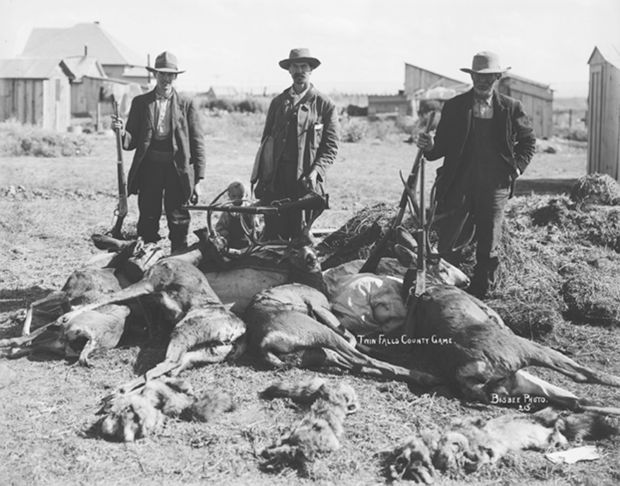 A Deer Hunt